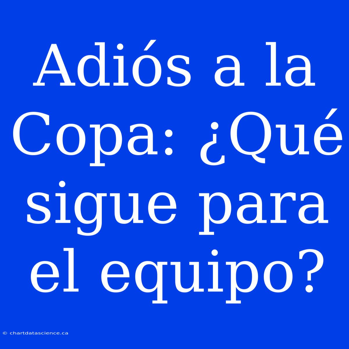 Adiós A La Copa: ¿Qué Sigue Para El Equipo?