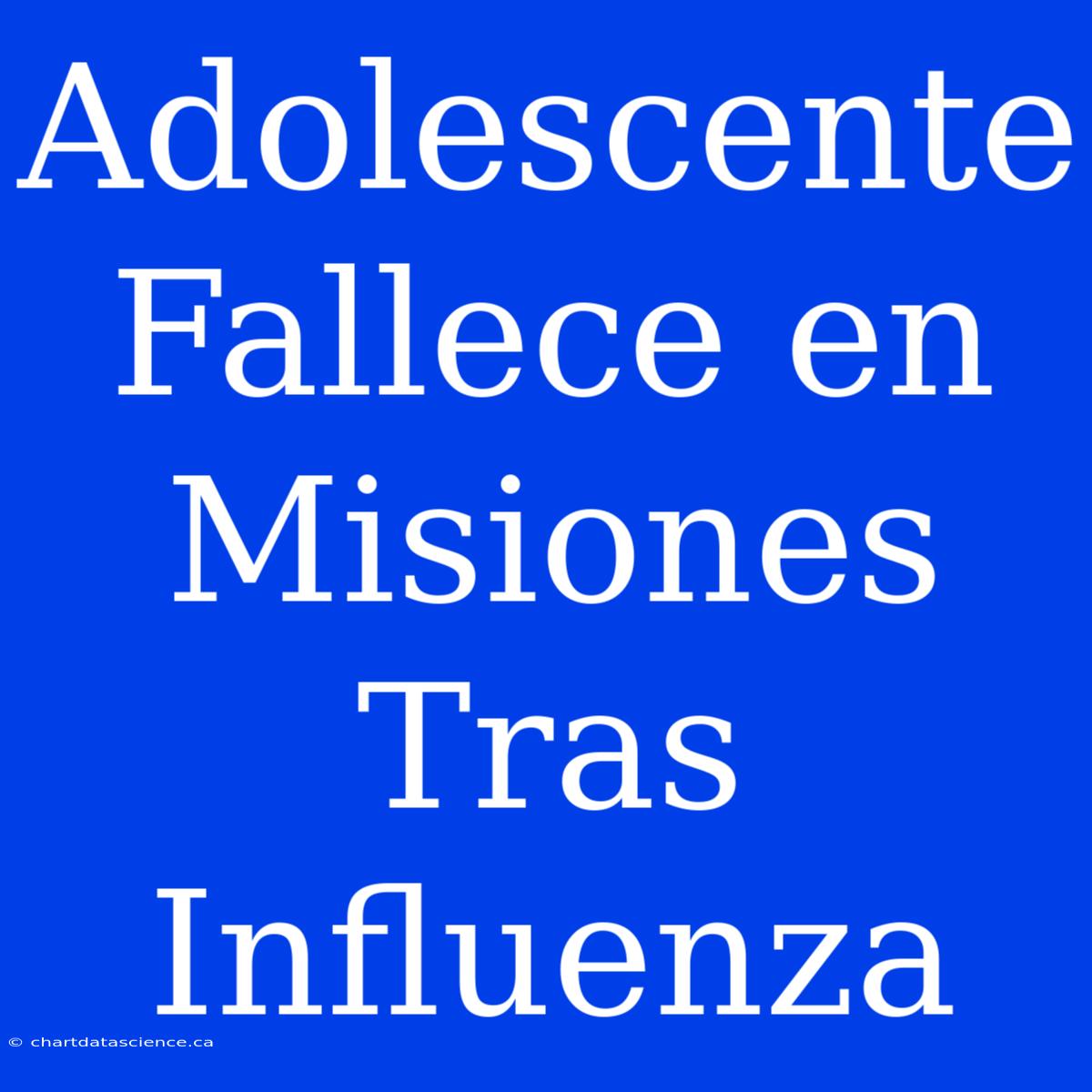 Adolescente Fallece En Misiones Tras Influenza