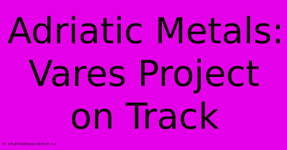 Adriatic Metals: Vares Project On Track