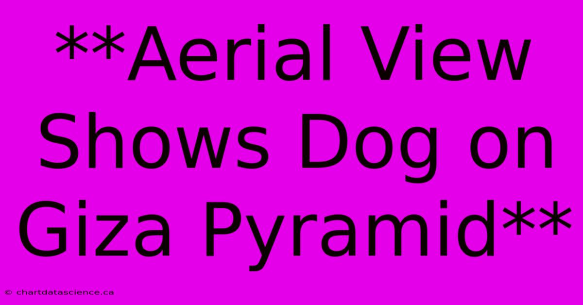 **Aerial View Shows Dog On Giza Pyramid**