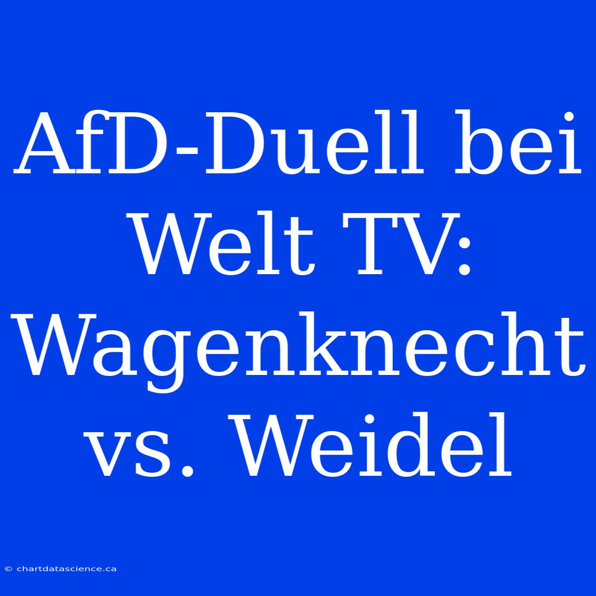 AfD-Duell Bei Welt TV: Wagenknecht Vs. Weidel