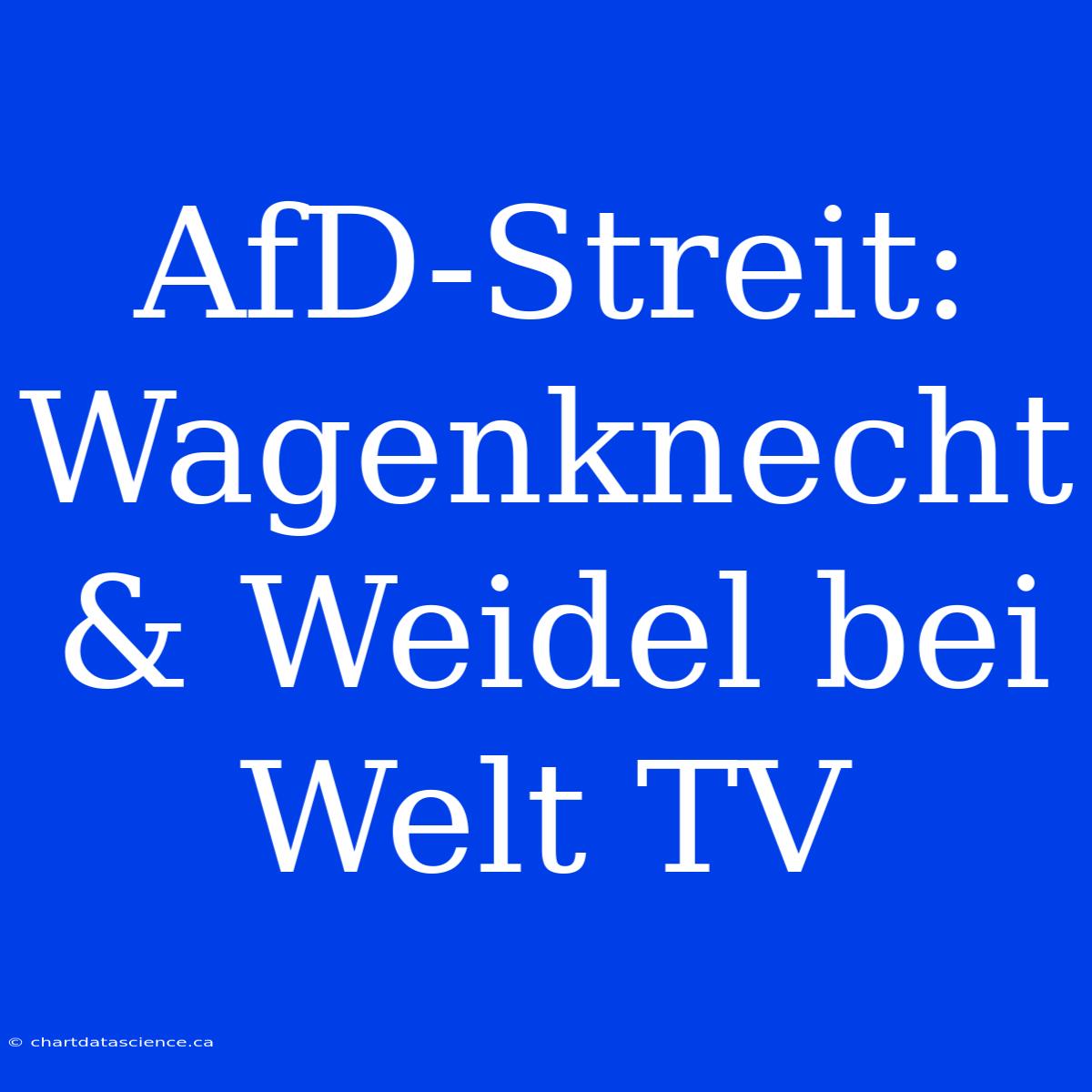 AfD-Streit: Wagenknecht & Weidel Bei Welt TV