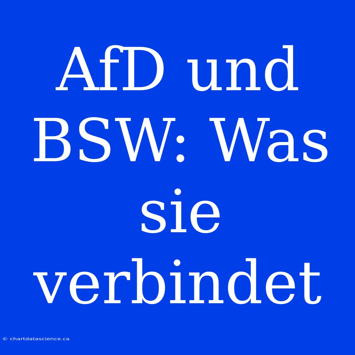 AfD Und BSW: Was Sie Verbindet