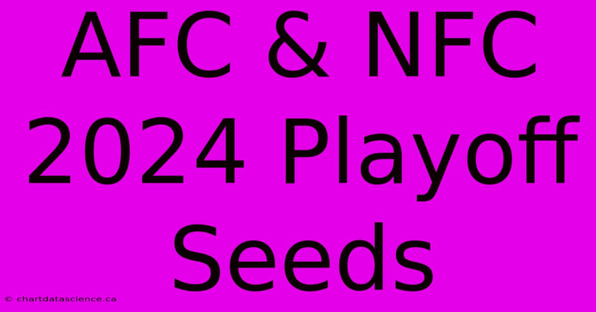 AFC & NFC 2024 Playoff Seeds