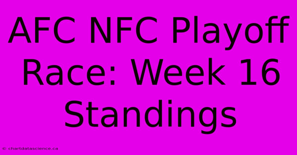 AFC NFC Playoff Race: Week 16 Standings