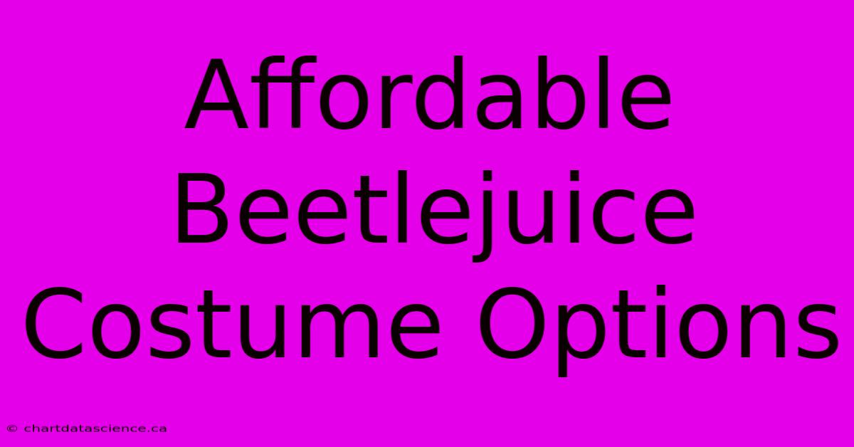 Affordable Beetlejuice Costume Options