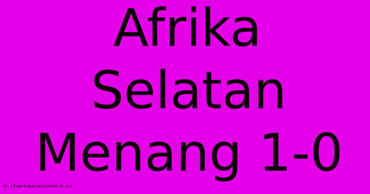 Afrika Selatan Menang 1-0