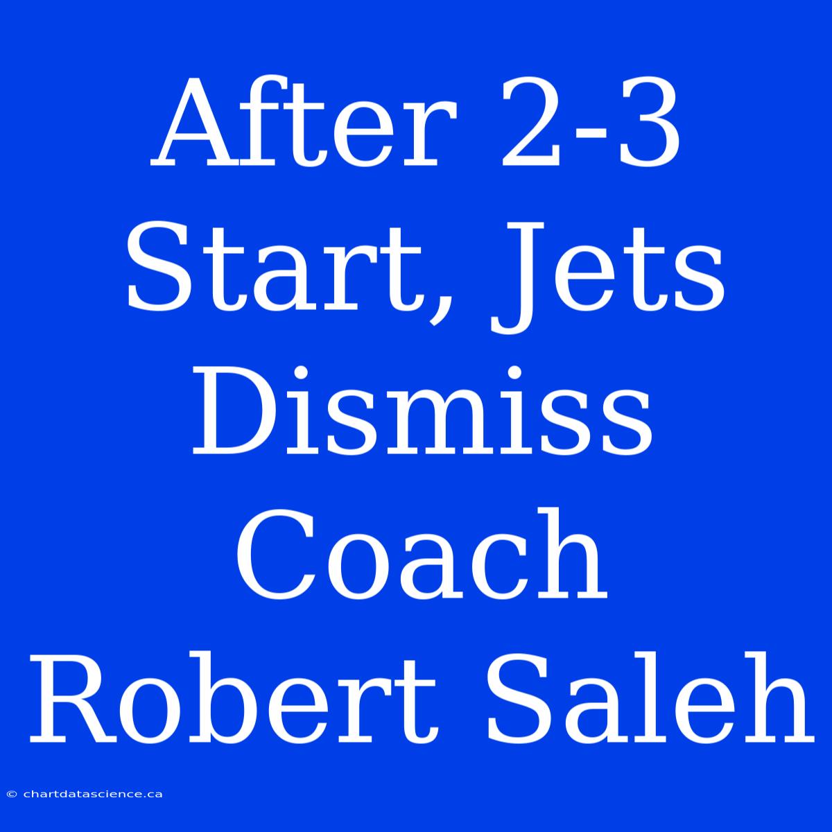 After 2-3 Start, Jets Dismiss Coach Robert Saleh