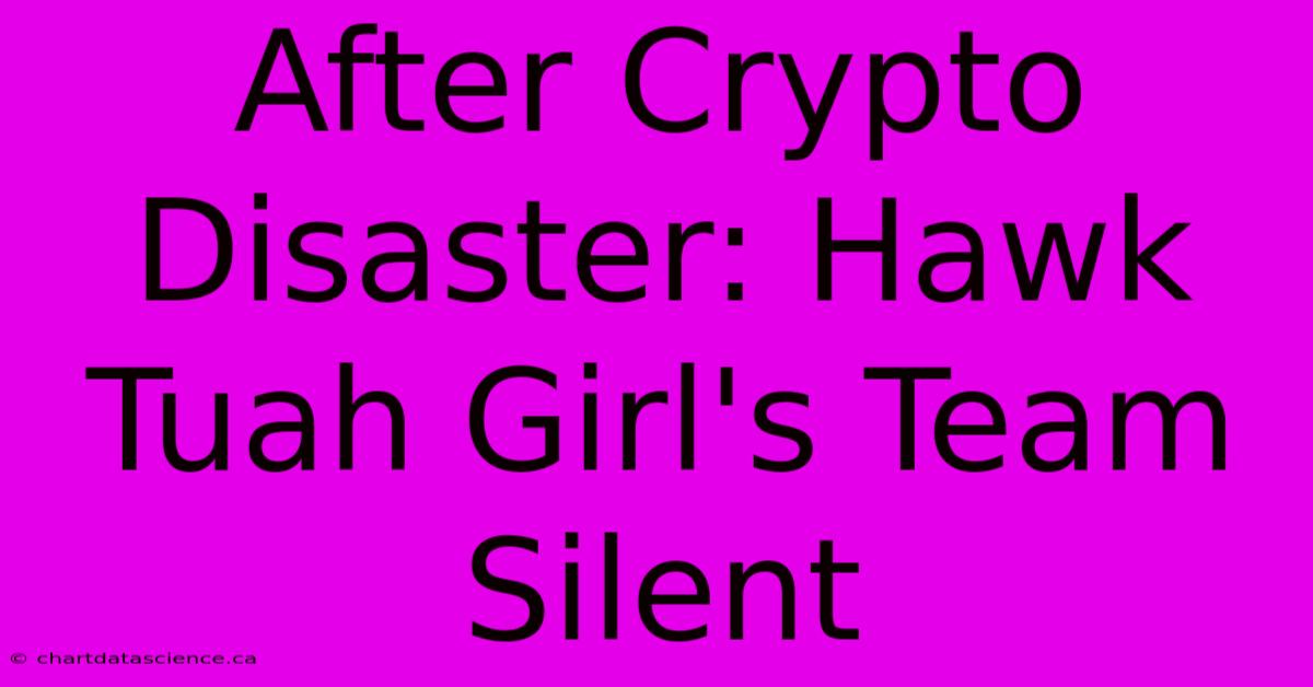 After Crypto Disaster: Hawk Tuah Girl's Team Silent