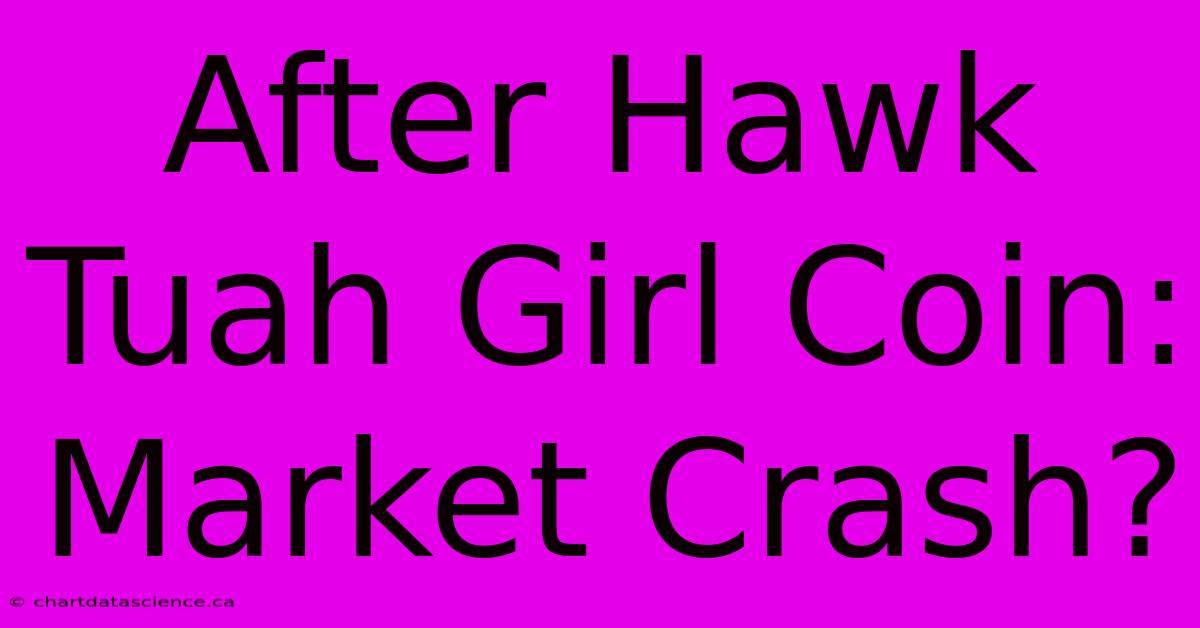 After Hawk Tuah Girl Coin: Market Crash?