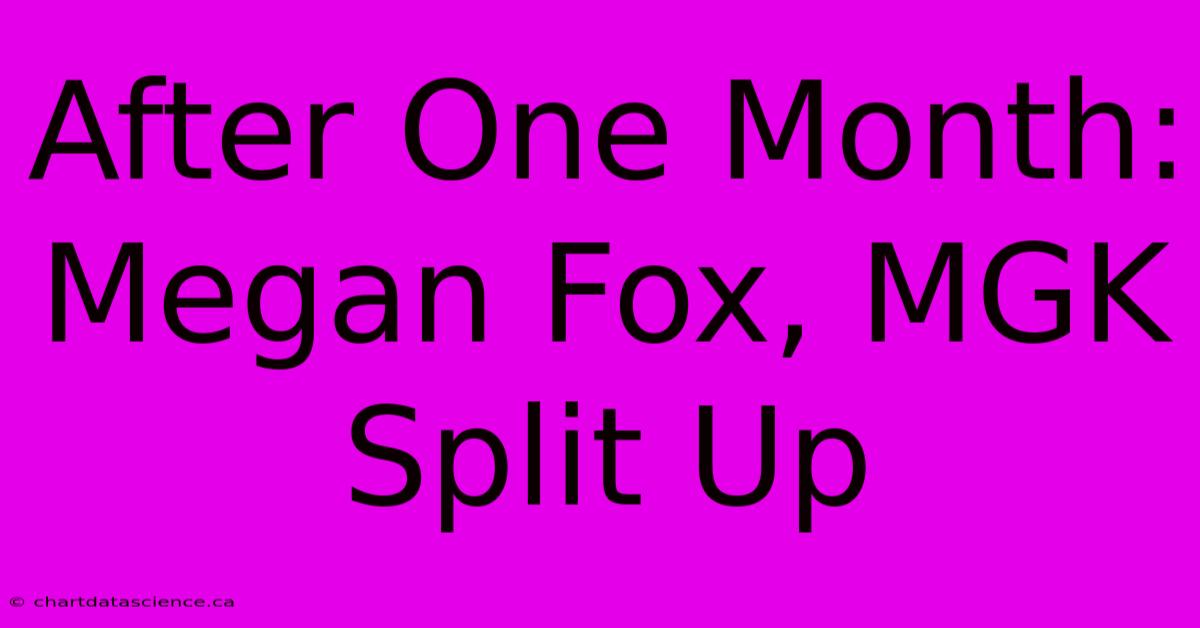 After One Month: Megan Fox, MGK Split Up