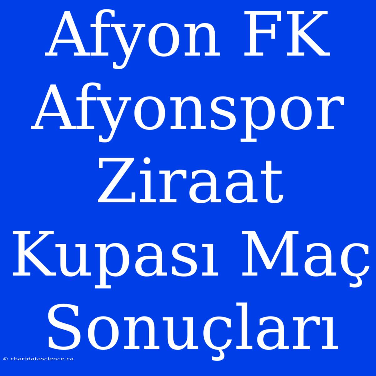 Afyon FK Afyonspor Ziraat Kupası Maç Sonuçları