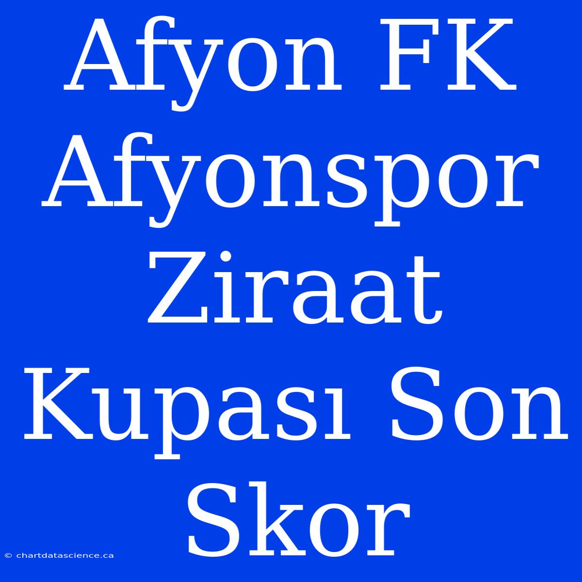 Afyon FK Afyonspor Ziraat Kupası Son Skor