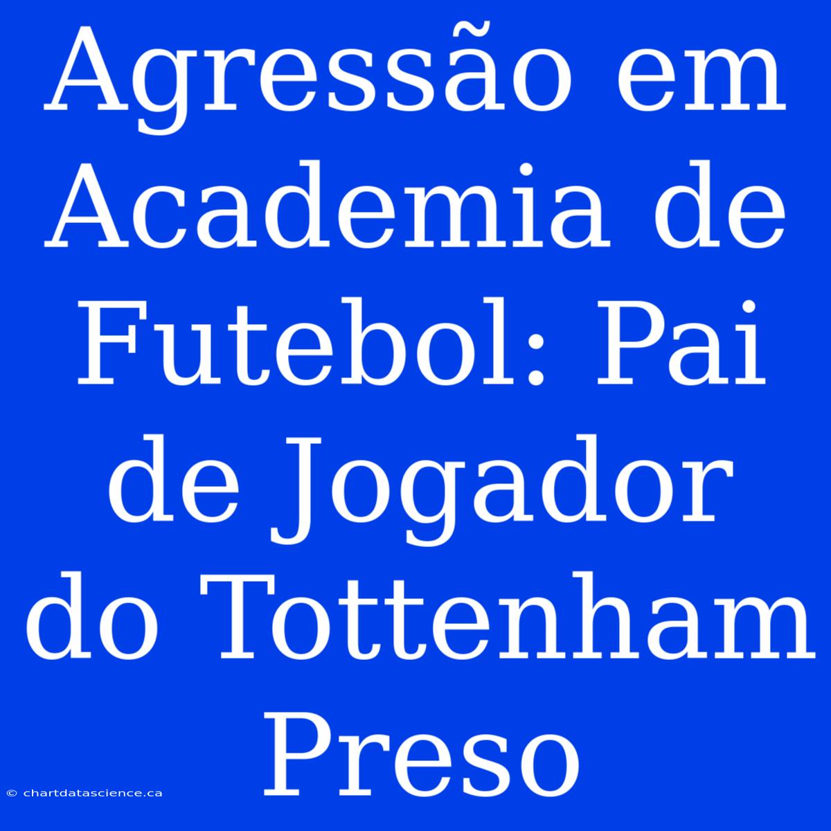 Agressão Em Academia De Futebol: Pai De Jogador Do Tottenham Preso