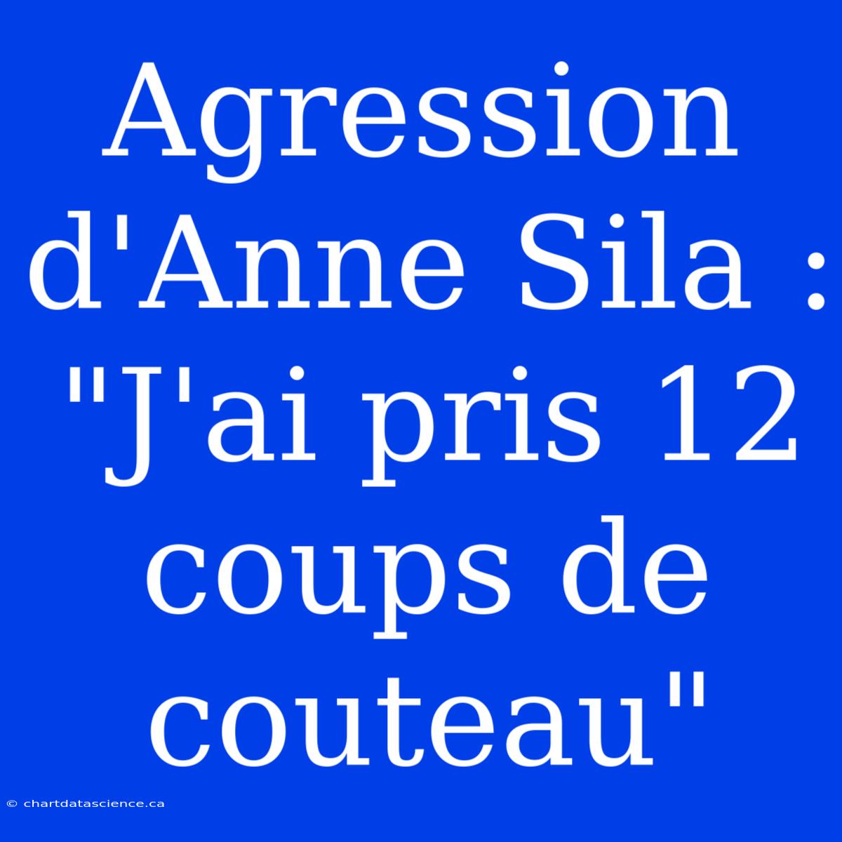 Agression D'Anne Sila : 