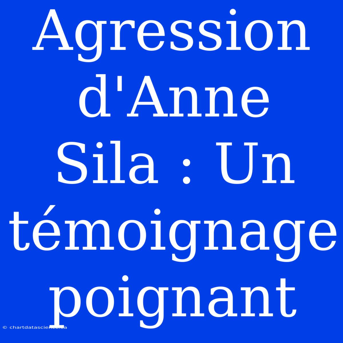 Agression D'Anne Sila : Un Témoignage Poignant