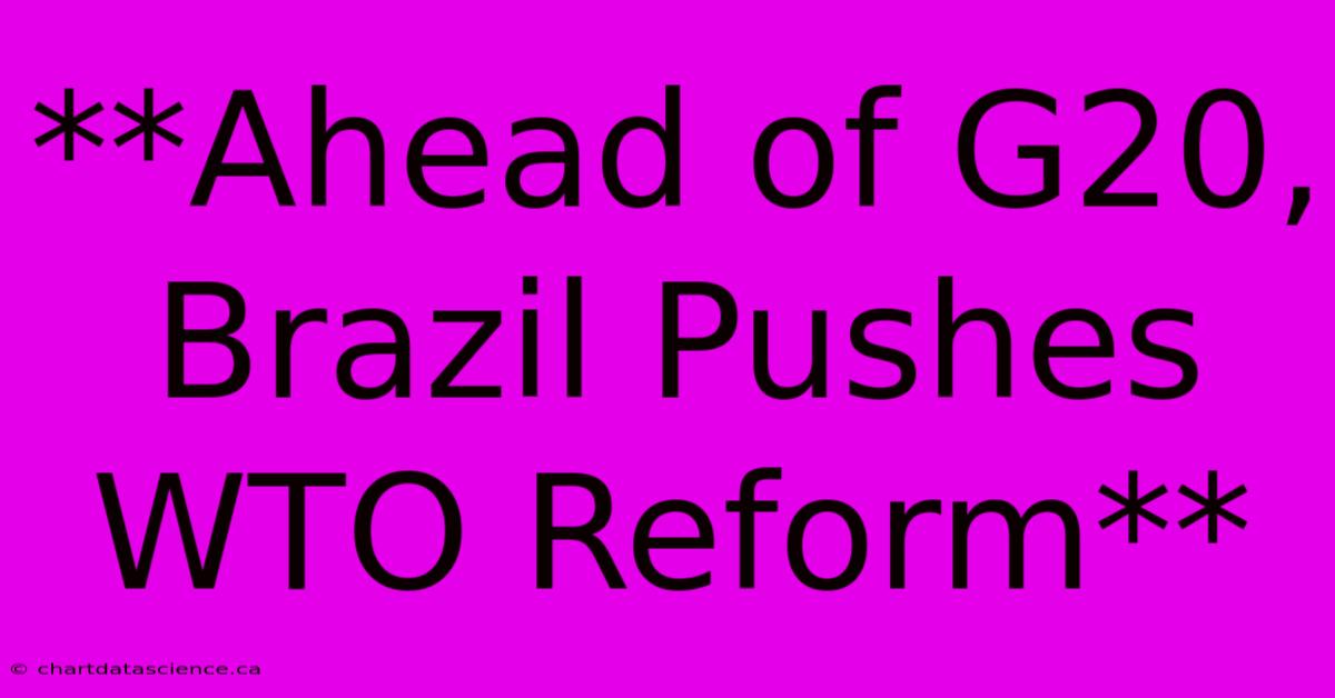 **Ahead Of G20, Brazil Pushes WTO Reform**