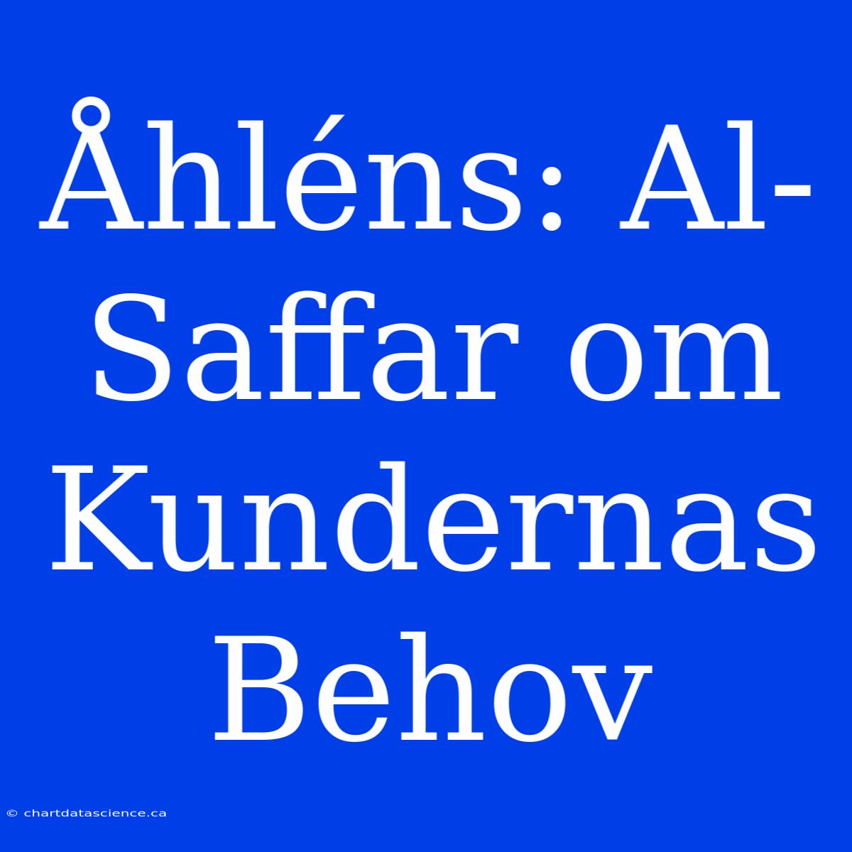 Åhléns: Al-Saffar Om Kundernas Behov