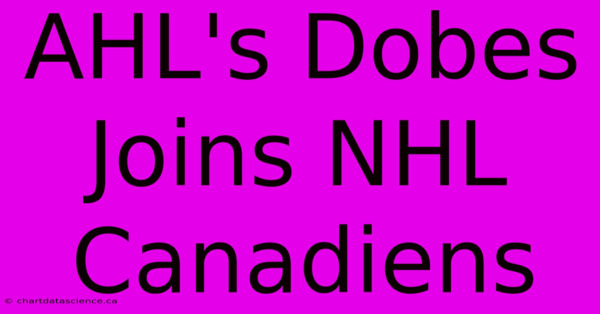 AHL's Dobes Joins NHL Canadiens