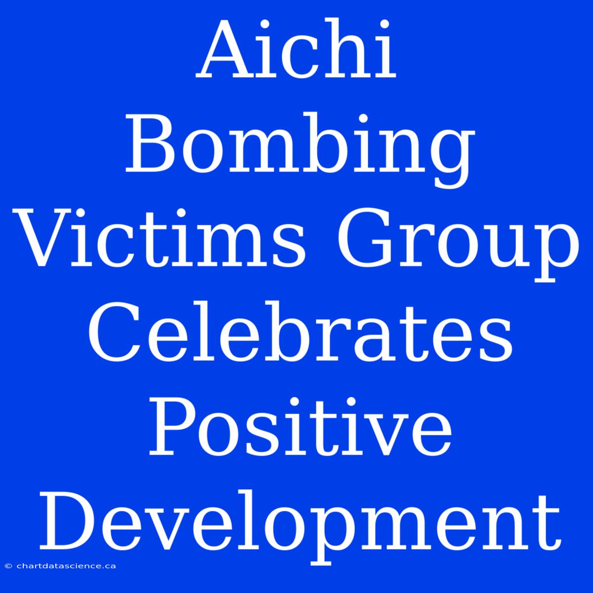 Aichi Bombing Victims Group Celebrates Positive Development