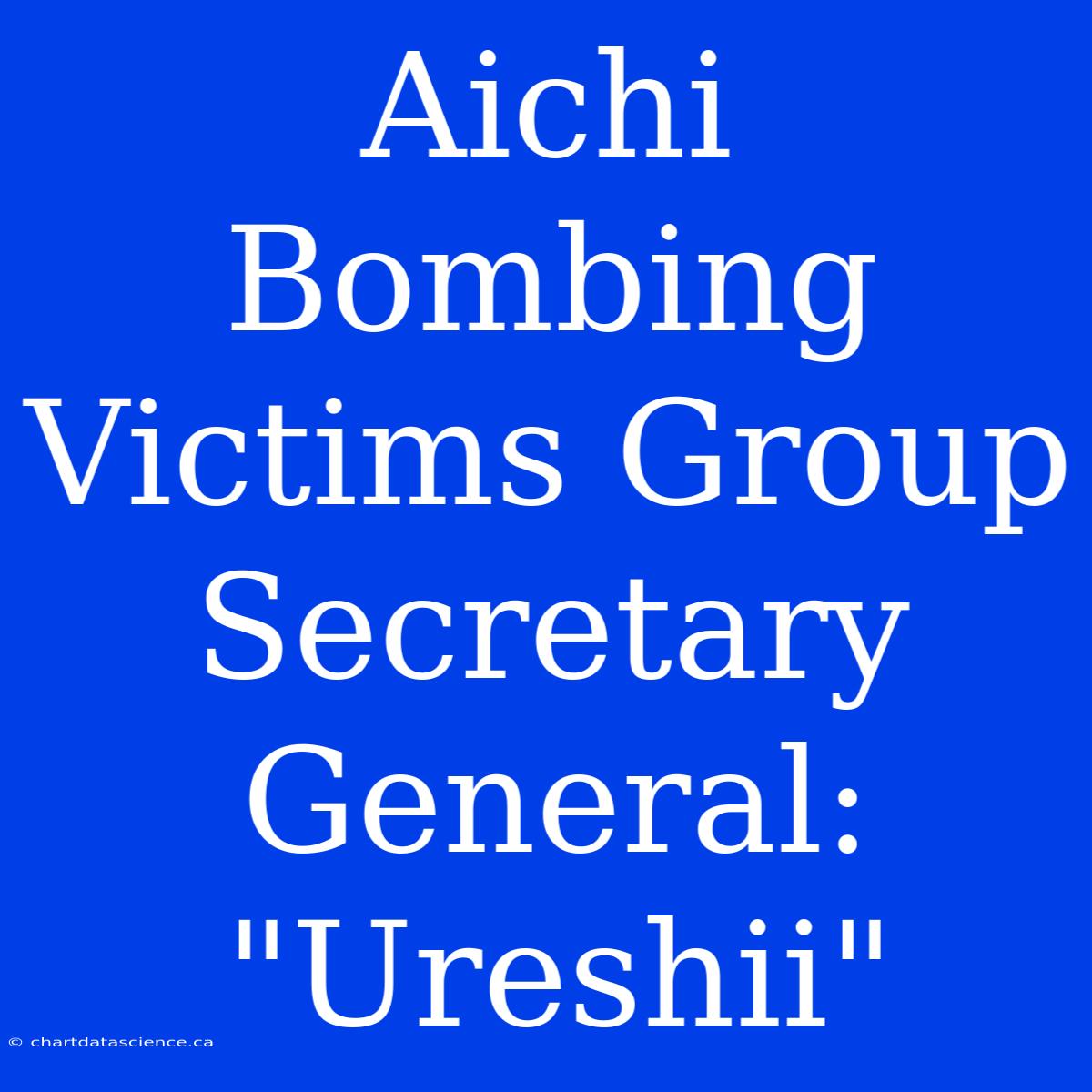 Aichi Bombing Victims Group Secretary General: 