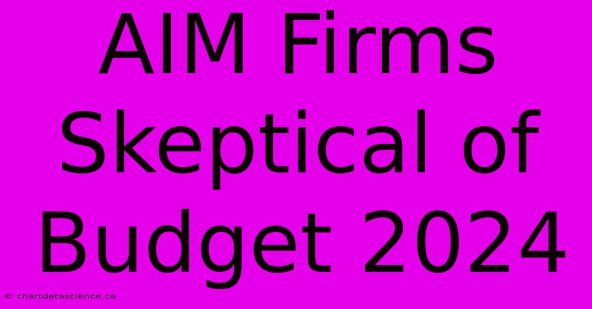 AIM Firms Skeptical Of Budget 2024