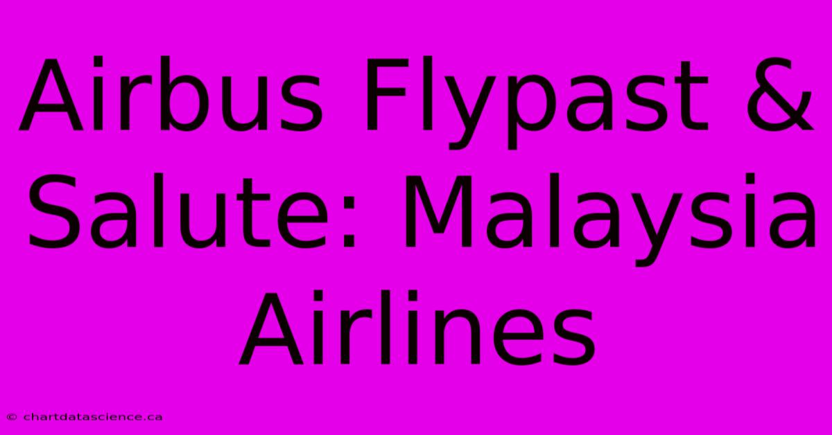 Airbus Flypast & Salute: Malaysia Airlines