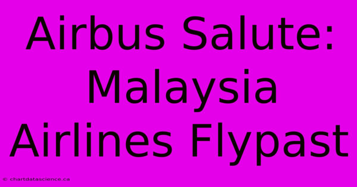 Airbus Salute: Malaysia Airlines Flypast