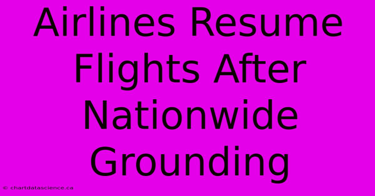 Airlines Resume Flights After Nationwide Grounding