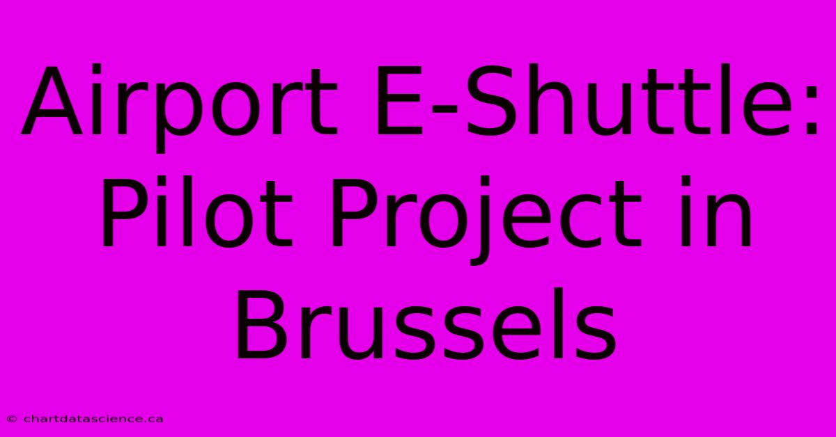 Airport E-Shuttle: Pilot Project In Brussels