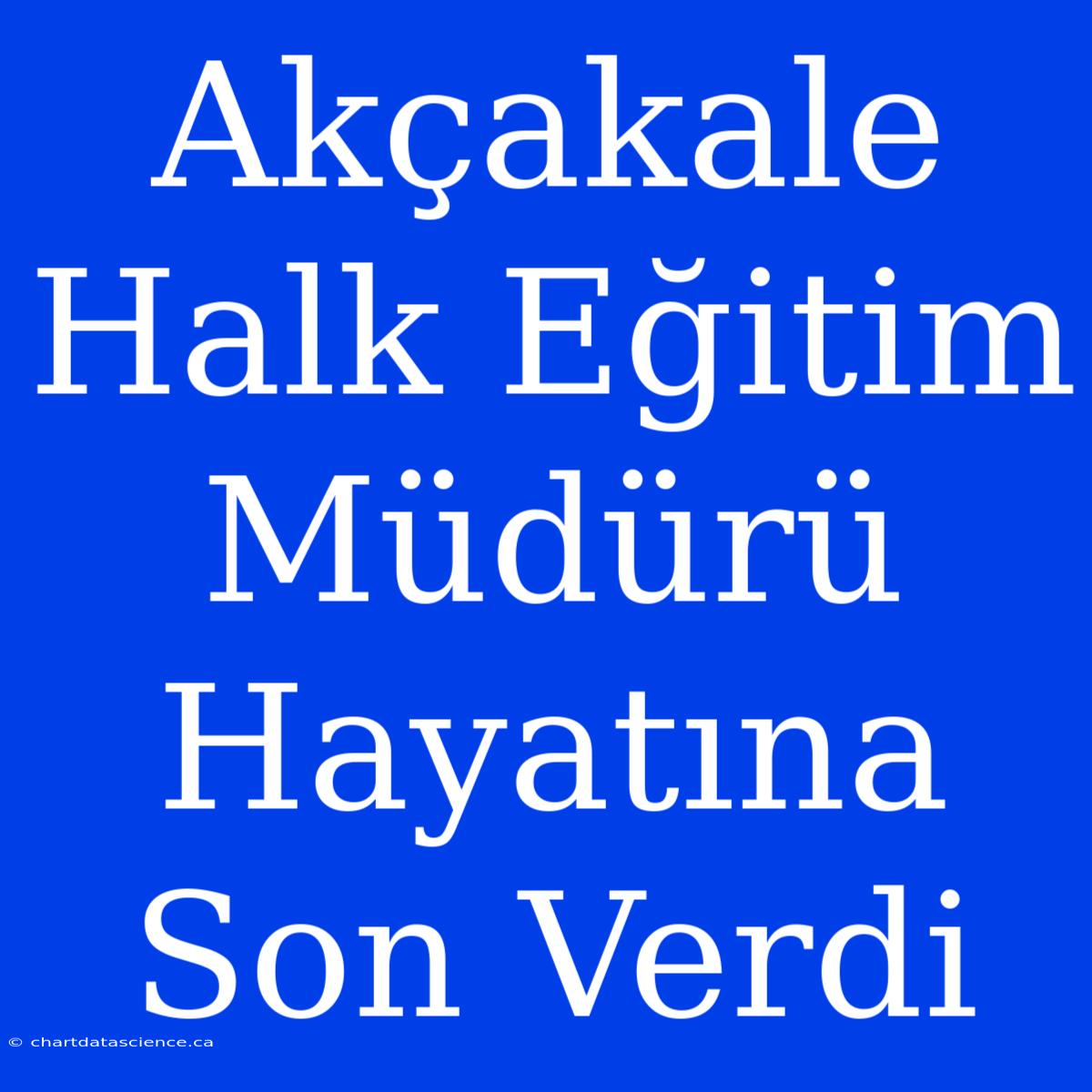 Akçakale Halk Eğitim Müdürü Hayatına Son Verdi