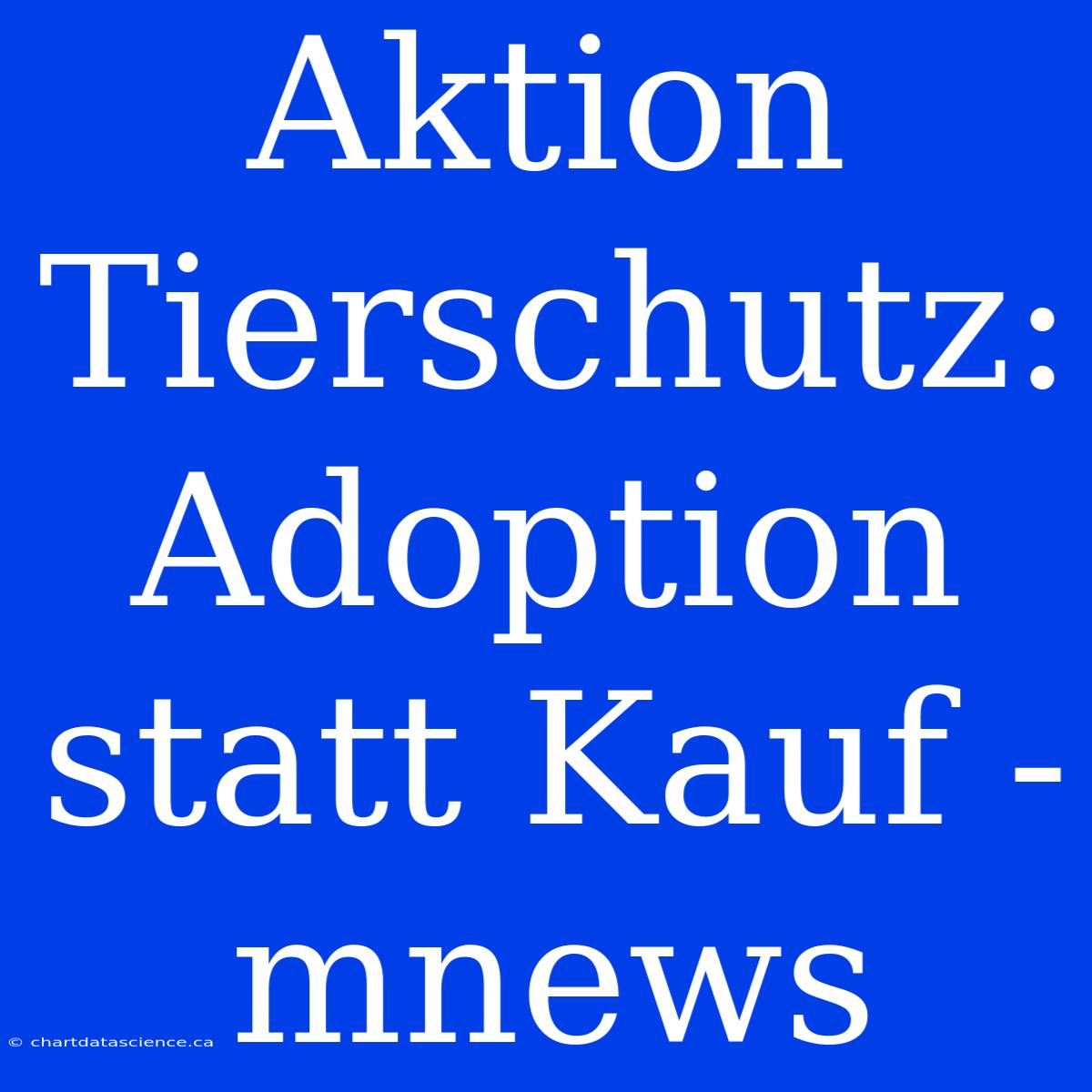 Aktion Tierschutz: Adoption Statt Kauf - Mnews