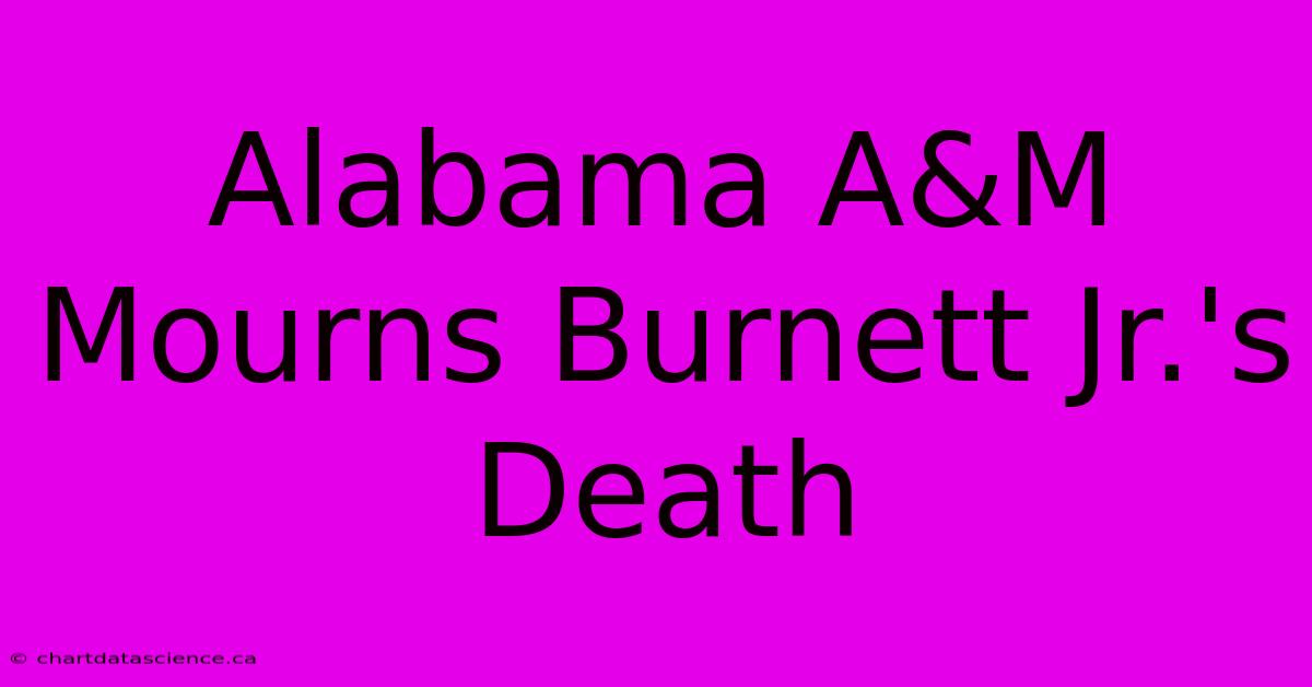 Alabama A&M Mourns Burnett Jr.'s Death