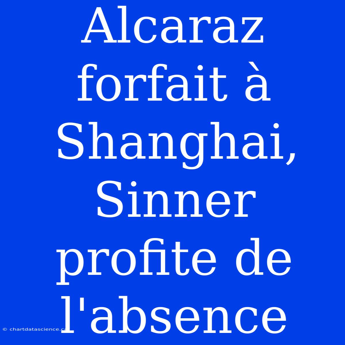 Alcaraz Forfait À Shanghai, Sinner Profite De L'absence