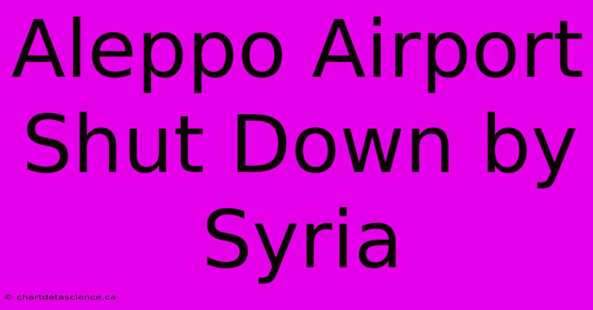 Aleppo Airport Shut Down By Syria