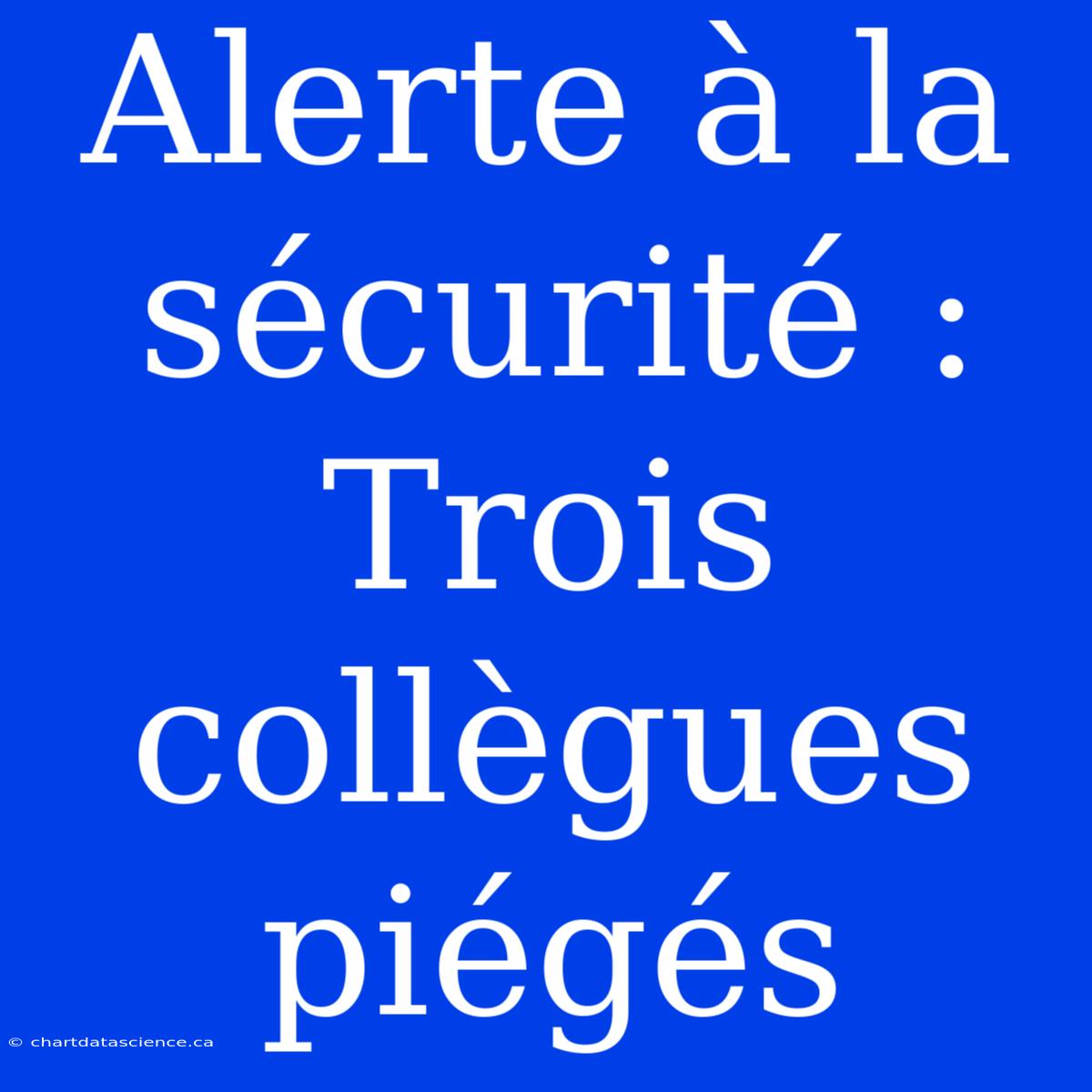 Alerte À La Sécurité : Trois Collègues Piégés