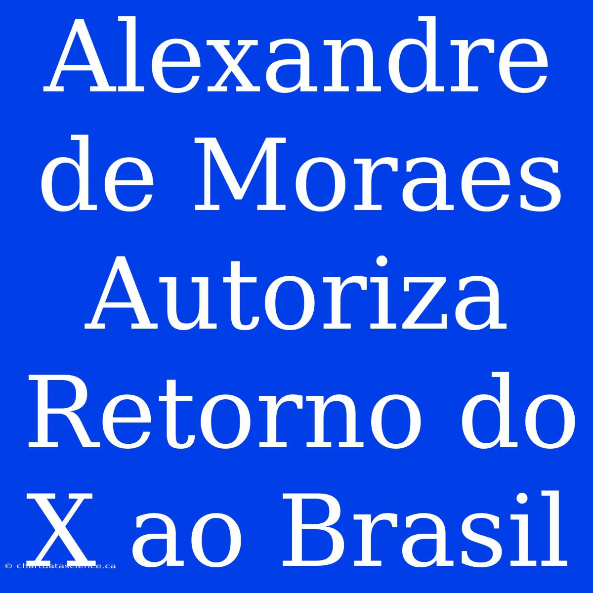 Alexandre De Moraes Autoriza Retorno Do X Ao Brasil