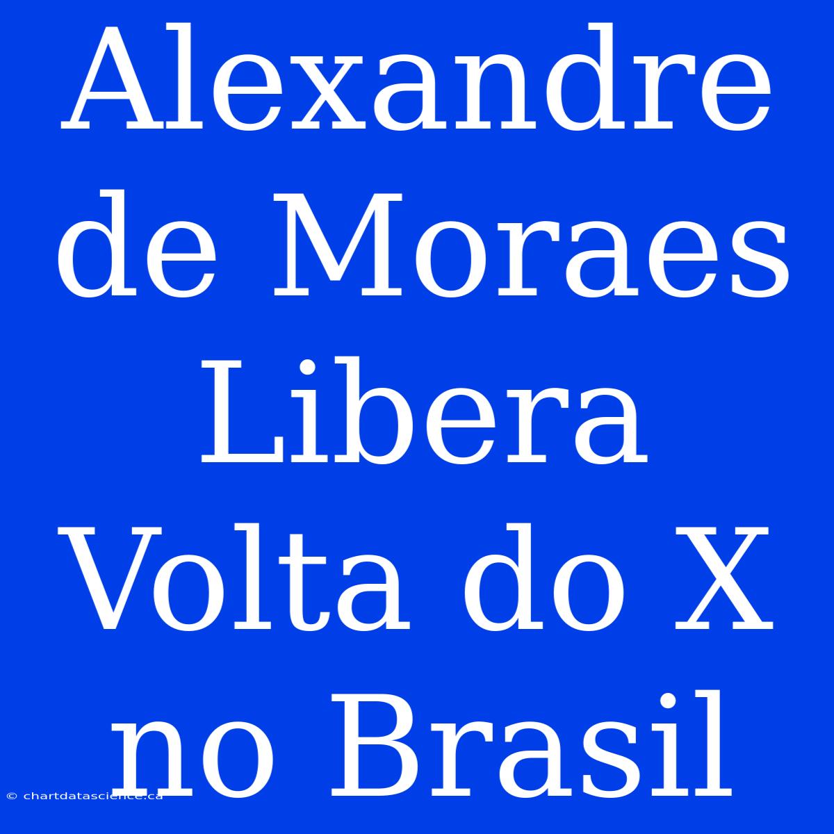 Alexandre De Moraes Libera Volta Do X No Brasil