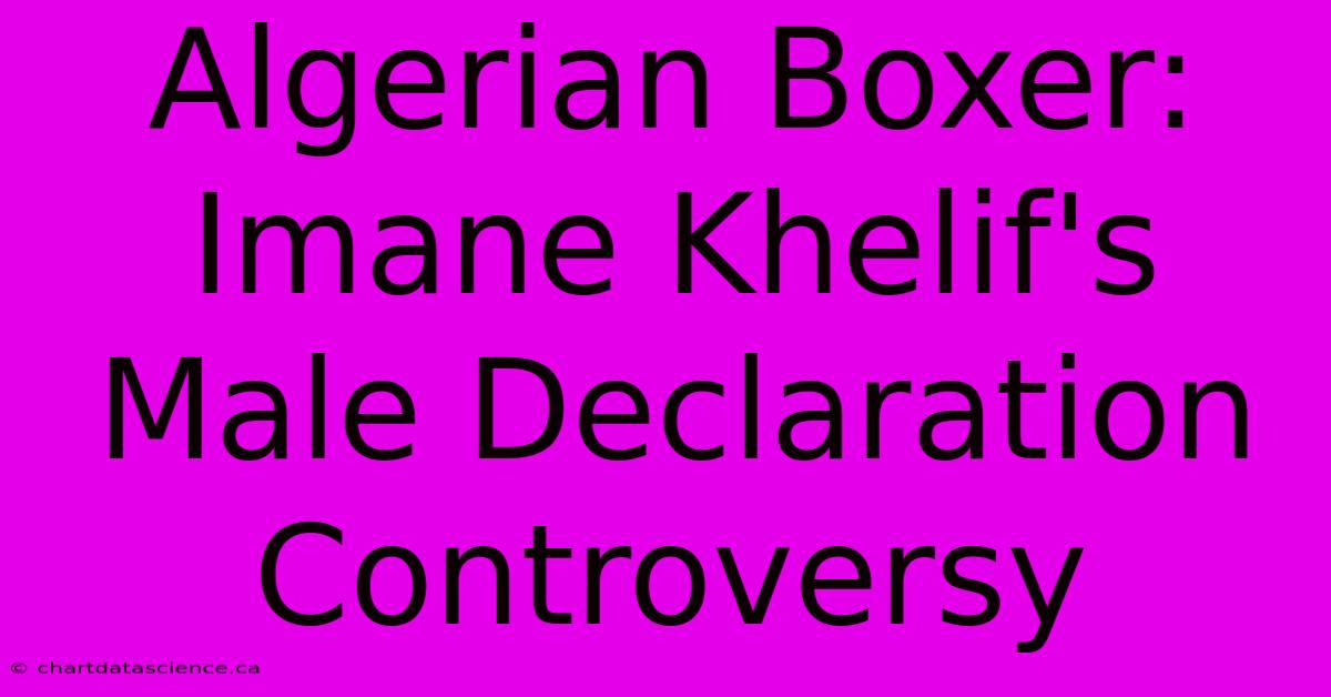 Algerian Boxer: Imane Khelif's Male Declaration Controversy 