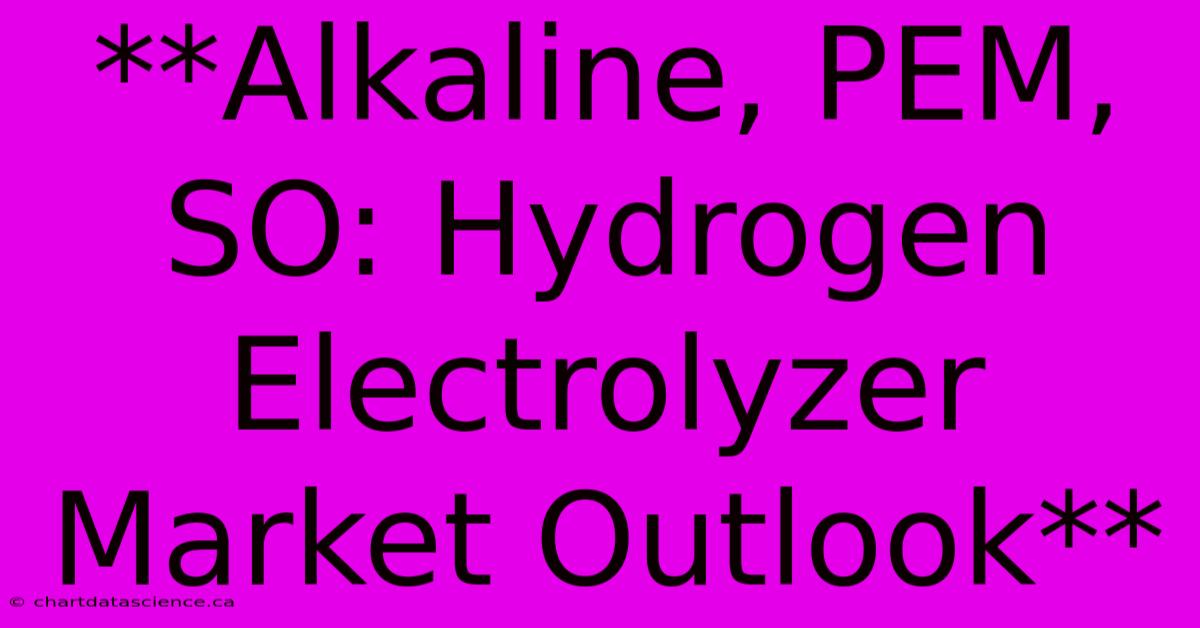 **Alkaline, PEM, SO: Hydrogen Electrolyzer Market Outlook**