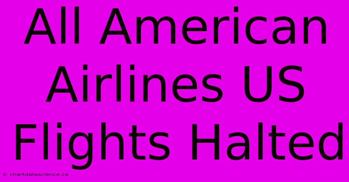 All American Airlines US Flights Halted