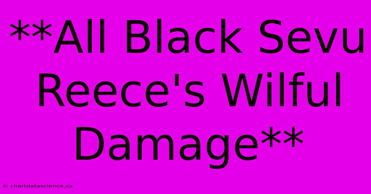 **All Black Sevu Reece's Wilful Damage**