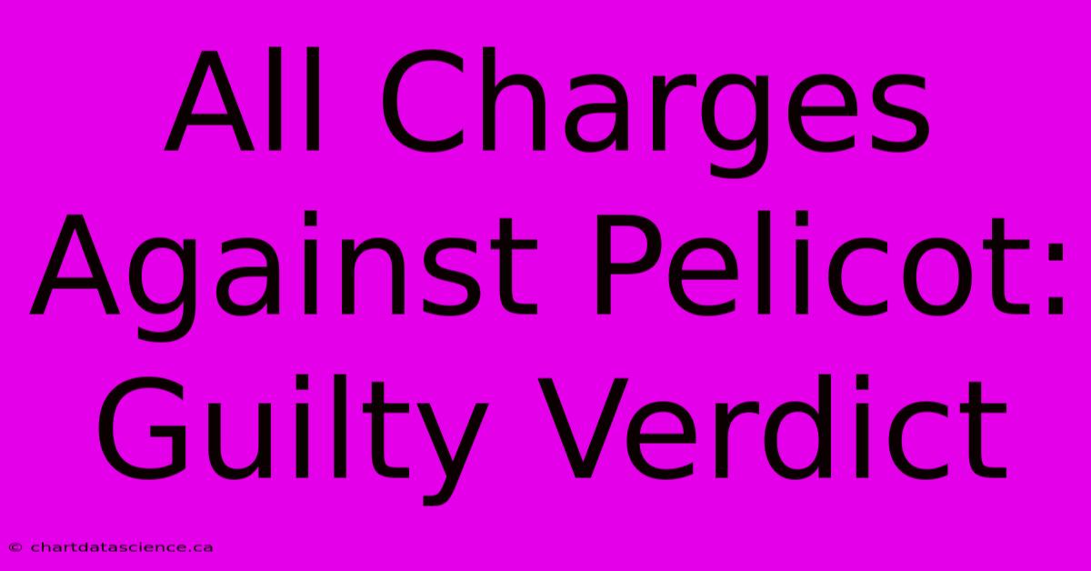 All Charges Against Pelicot: Guilty Verdict