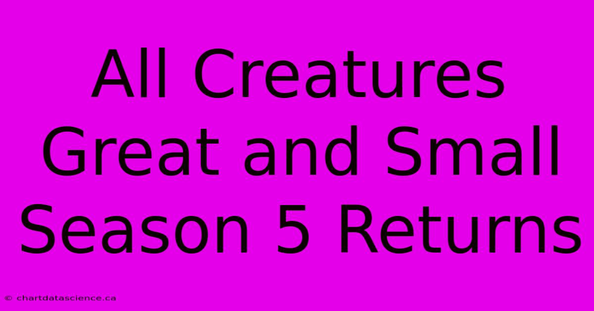 All Creatures Great And Small Season 5 Returns