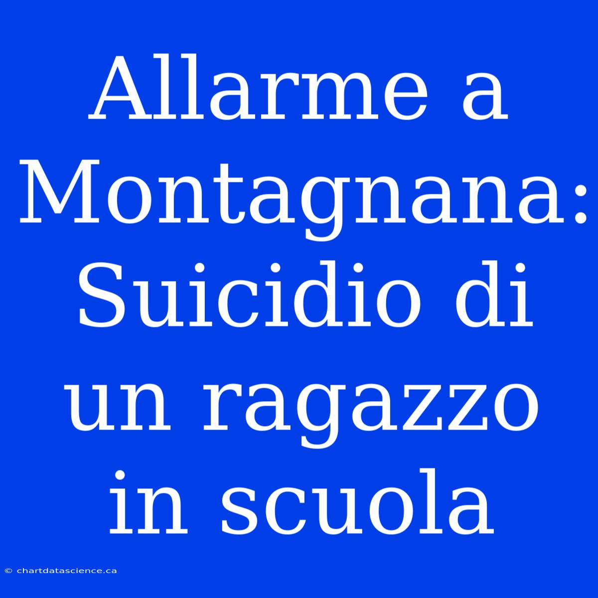 Allarme A Montagnana: Suicidio Di Un Ragazzo In Scuola