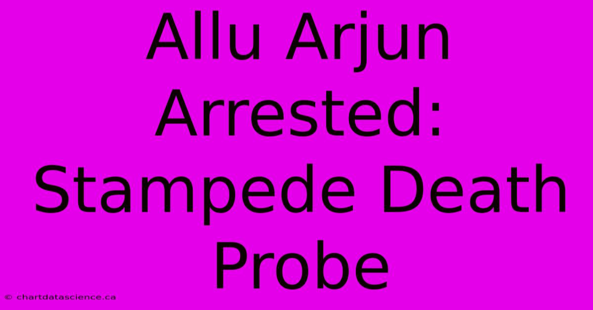 Allu Arjun Arrested: Stampede Death Probe