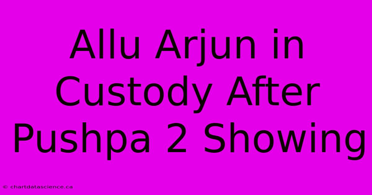 Allu Arjun In Custody After Pushpa 2 Showing