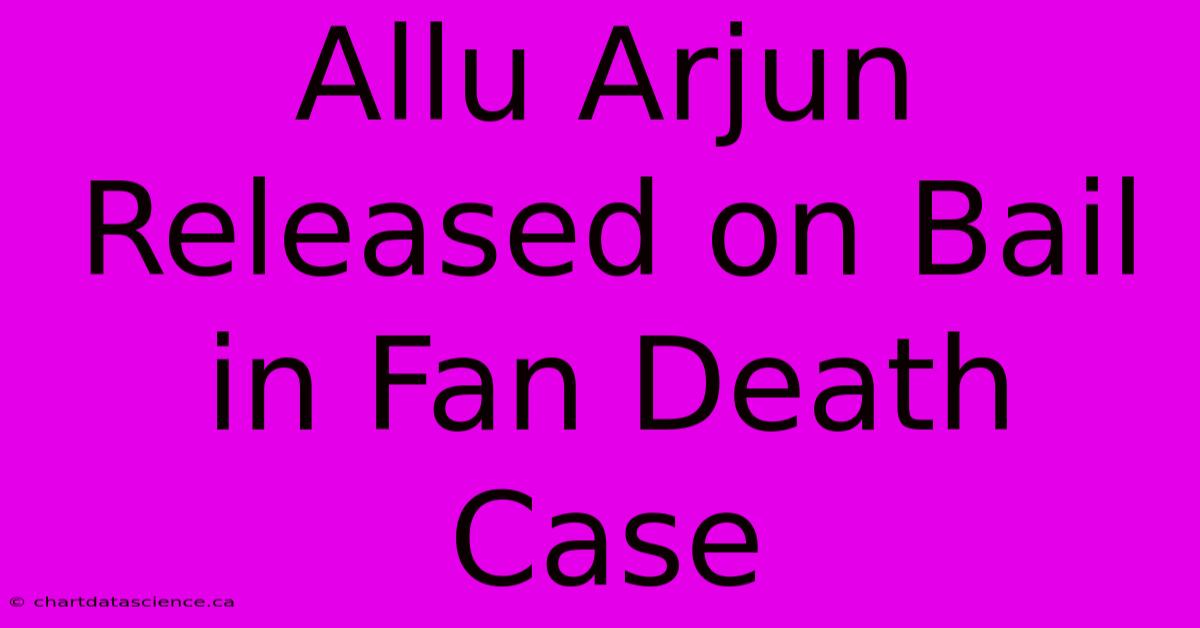 Allu Arjun Released On Bail In Fan Death Case