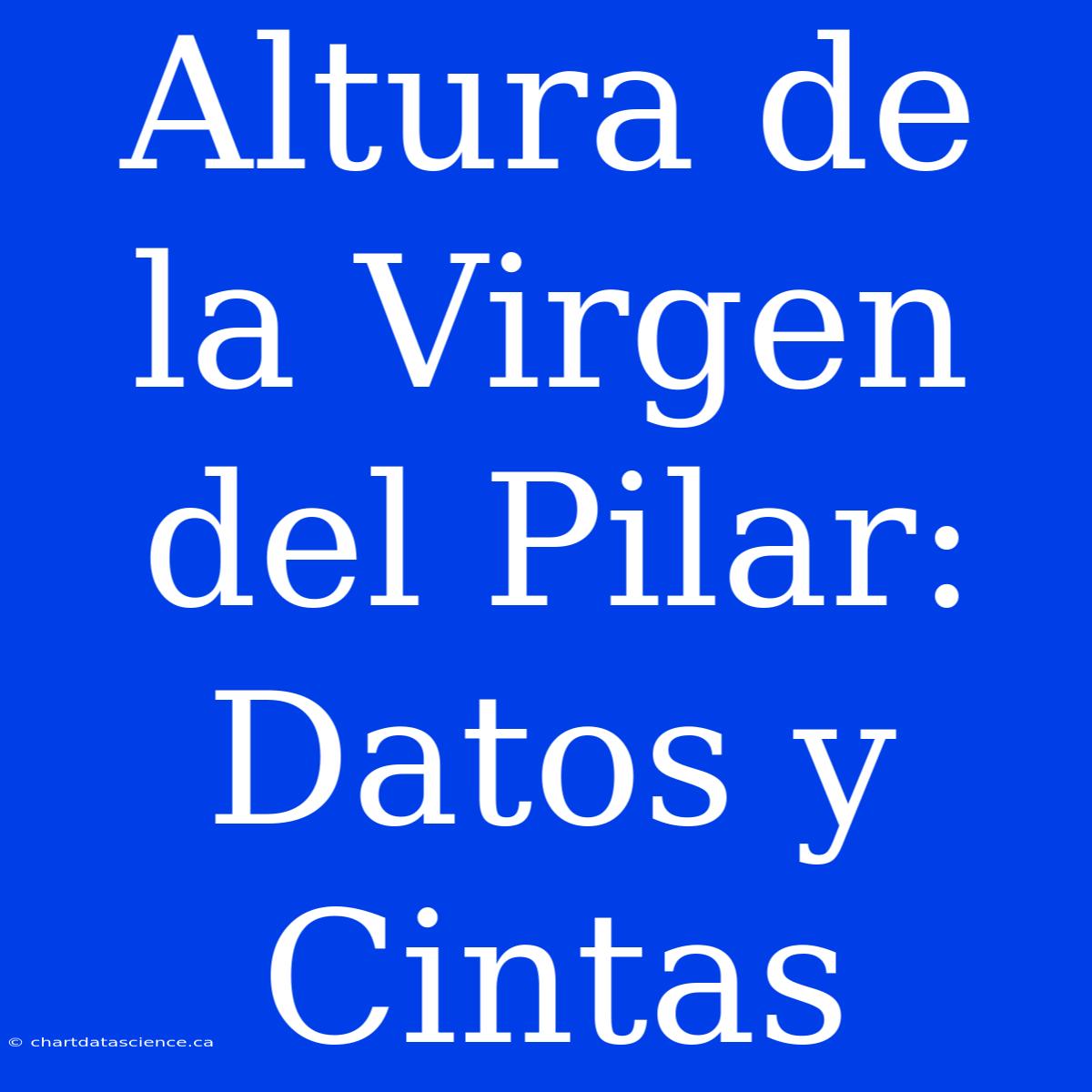 Altura De La Virgen Del Pilar: Datos Y Cintas