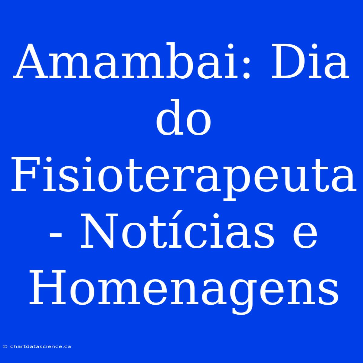 Amambai: Dia Do Fisioterapeuta - Notícias E Homenagens